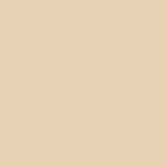 Sandstone ASP-FM2833